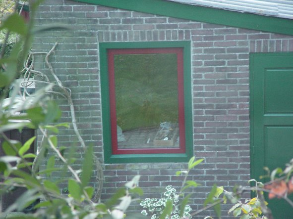 Renovatie kunststof kozijn met draaikiep raam